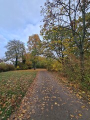 Blick auf ein Naturgebiet, in einem Park, in Berlin Treptow/Köpenick (Herbstsaison)