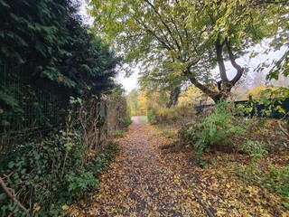 Blick auf ein Naturgebiet, in einem Park, in Berlin Treptow/Köpenick (Herbstsaison)