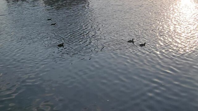 river beside apec park, busan