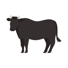 黒毛和種の牛。フラットなベクターイラスト。
Japanese black cattle. Flat vector illustration.