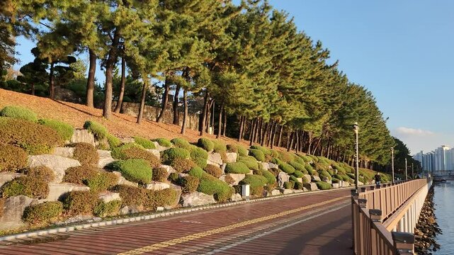 apec park