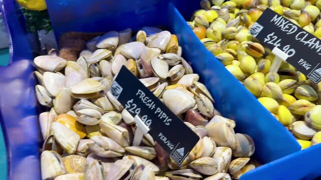 Fresh Seafood Display at Market