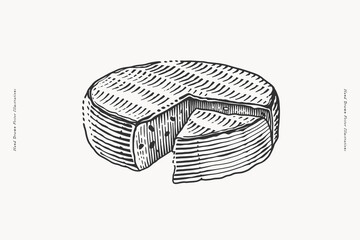 Hand-drawn vintage illustration of a whole cheese wheel with a slice cut out, in engraving style.