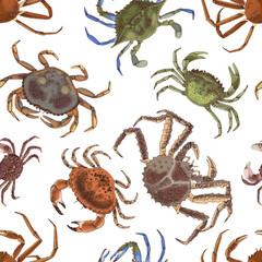 Seamless pattern with different types of crabs