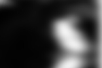 Black background light white abstract. Abstract background of black and white. Darkness, gradient, vintage, art, effect, blur, and curve concept for texture. White paint gradient on black background.