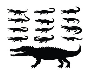 Crocodile silhouettes.