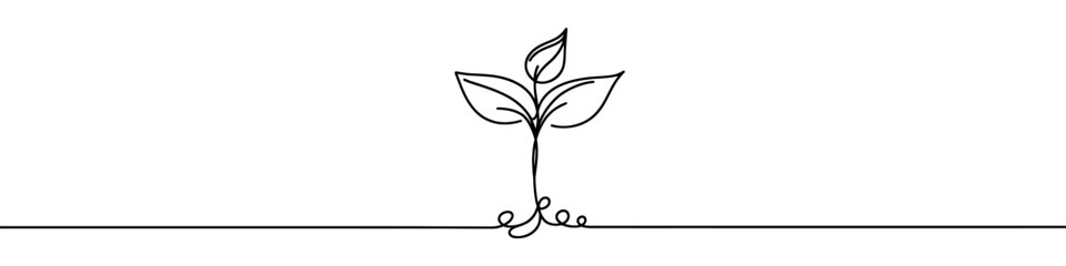 Minimalist continuous line drawing representing a growing plant with leaves. Vector illustration.