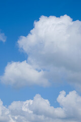 Obraz premium Vertical image of white cumulus clouds on clear blue sky. Puffy cloud formations in bright daylight. Calm weather and open sky background concept.