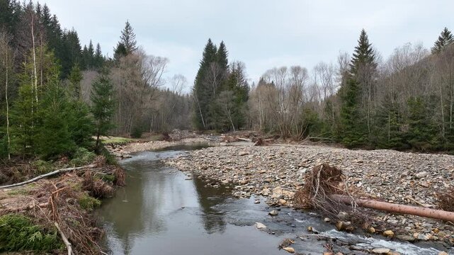 River terrace stones sediment Jeseniky fluvial autumn fall after flood meander drone aerial mountain in sandy delta sand alluvium, benches forest spruce wetland Cerna Opava swamp, Europe