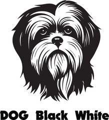 A simple Yet Elegant Black Silhouette of a shih TZU Dog Illustration