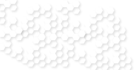 Abstract honeycomb technology white background. Luxury white hexagon pattern. Abstract background with hexagon, modern abstract vector polygonal pattern futuristic.