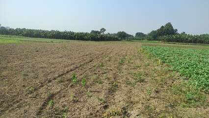 "The Heart of Farming: Green Land Agriculture at its Best"