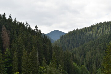 park state country