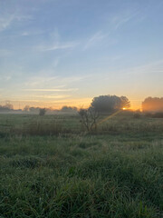 Sunrise in the countryside