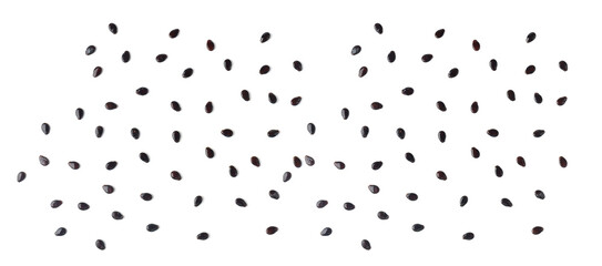 Watermelon Seeds, Water Melon Black Seed Pile, Small Black Kernels