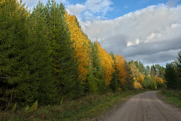 road in the autumn in russa
