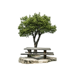 Fototapeta premium Tranquil Outdoor Picnic Spot