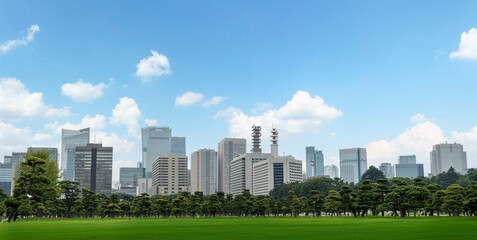Urban skyline of Tokyo framed by lush greenery on a clear day