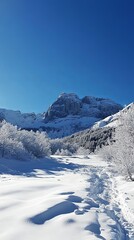Snowy Mountain Majesty: A Winter Wonderland