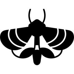 Moth Icon
