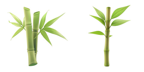 3d render bamboo shoot isolated on transparent background Cartoon Illustration in plastic style