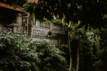 old bridge in the woods