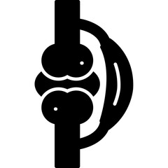 Ligament Icon