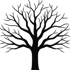 Fototapeta premium dead tree in winter setting branch