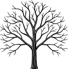 dead tree in winter setting branch