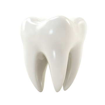 Highly detailed white tooth model with a smooth and glossy finish, isolated on a transparent cutout background
