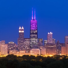 Naklejka premium Chicago city skyline at twilight, illuminated skyscrapers and buildings.