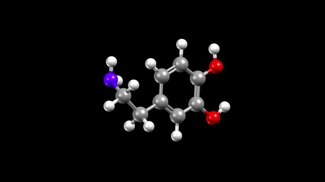 Structure of hormone dopamine. Animated 3D ball-and-stick and spacefill models, black background.