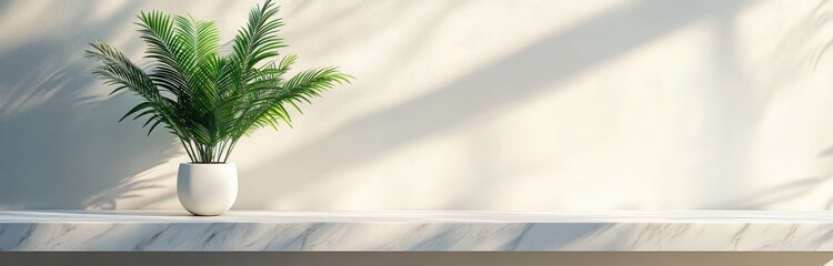 Fototapeta premium Minimalist podium with a marble surface and a palm plant 