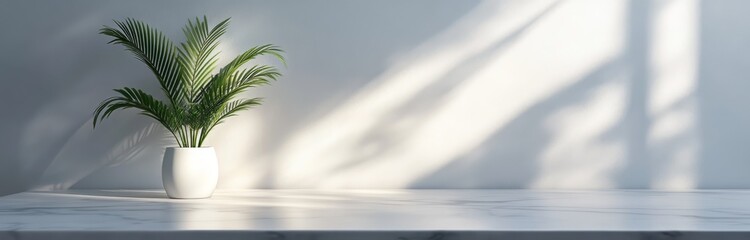 Fototapeta premium Minimalist podium with a marble surface and a palm plant 
