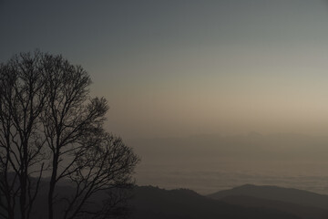 Fototapeta premium landscape and travel concept with sunrise and layer of mountain and mist with forest on morning