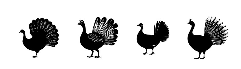 silhouette of a turkey