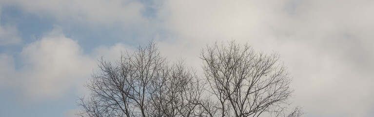 landscape and travel concept with sunrise and layer of mountain and mist with forest on morning