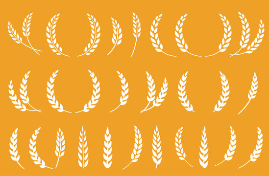 silhouette of weat ears, barley and rye spikelet, sheaf and branch set icon