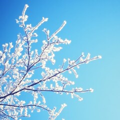 Frosty branches against a vibrant blue sky.
