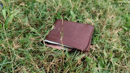 Mens leather money wallet or purse fall down and lost on the outdoor park or field green lawn grass ground floor surface. Closeup macro slow motion top view.