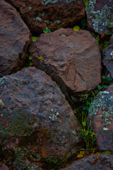 Close-up view on stones with moss