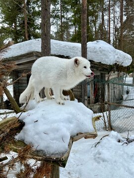 Finnland