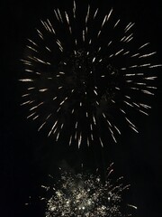 Bright Fireworks Exploding in the Night Sky