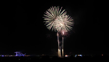 Vibrant fireworks display exploding in the night sky over a cityscape.