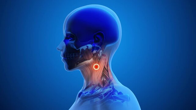 Pressure Point Below Ear for Swelling