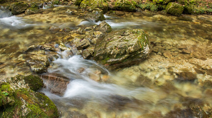 river in the forest 
the gorge of hell Borovnica, Slovenija