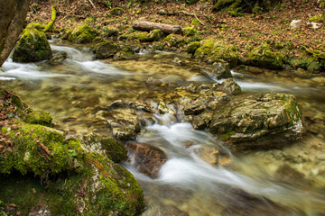 river in the forest 
the gorge of hell Borovnica, Slovenija