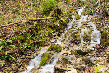 waterfall in the forest 
the gorge of hell Borovnica, Slovenija