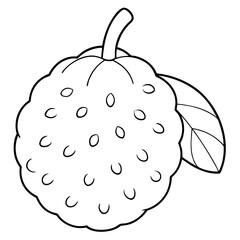 Line art of a atemoya fruit. Vector illustration