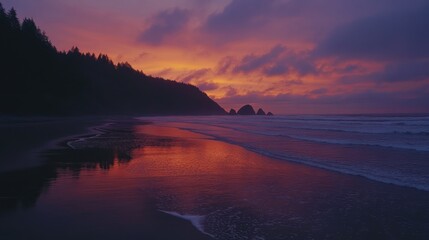Fototapeta premium Coastal Sunset Silhouette Trees Ocean Beach Sky